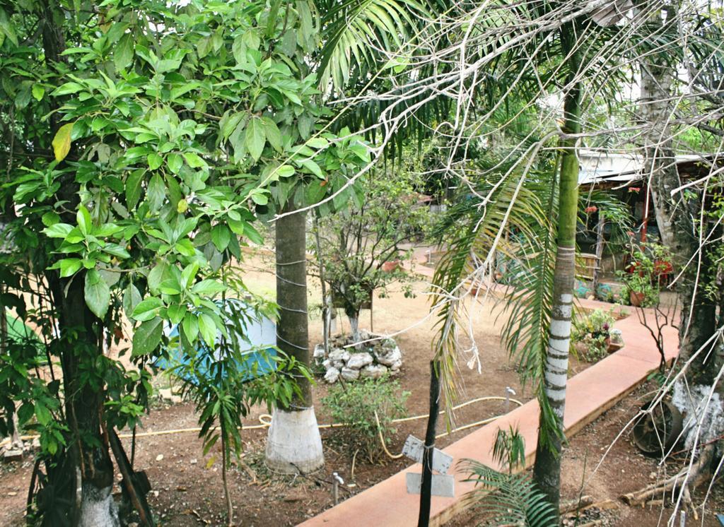 Yaxche Centro Hostal Y Camping Bacalar Exterior foto